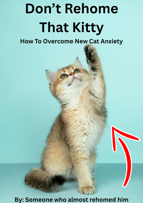 How To Overcome New Cat Anxiety cover